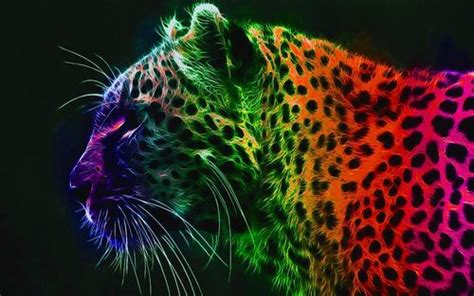 rainbow leopard    jessi pinterest