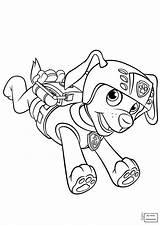 Patrol Paw Coloring Pages Pdf Ryder Chase Getdrawings sketch template