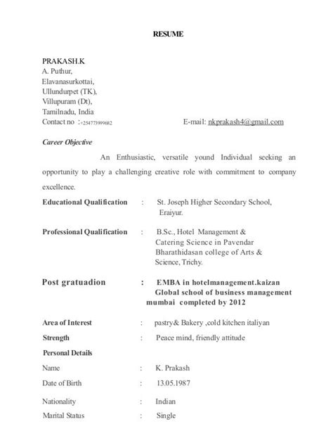 examples  kenyan resume sample exclusive resume  minutes