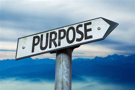 purpose   share  life