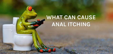 What Can Cause Anal Itching If Every Body Ran