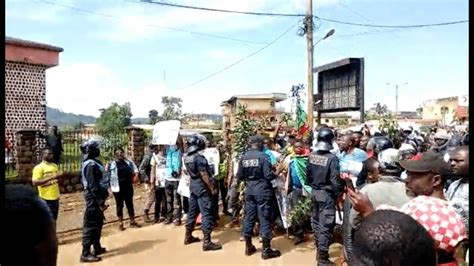 cameroon repression of protests and attacks against the media must be