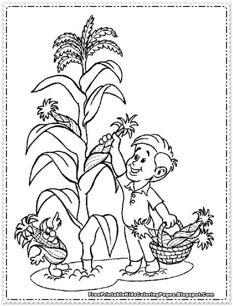 corn coloring pages printable  printable kids coloring pages