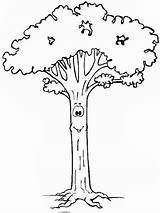 Coloring Tree Trees Pages Color Kids Printable Sheets Face Nature Food Sheet Gif Cute Children Print Long sketch template