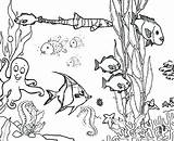 Coloring Ocean Pages Fish Reef Coral Aquarium Ecosystem Drawing Marine Sea Plants Printable Underwater Floor Barrier Great Clipart Print Hidden sketch template