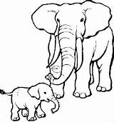 Mewarnai Binatang Gajah Tk sketch template