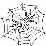 Spider Web Coloring Printable Pages Kids sketch template
