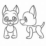 Lps Shorthair sketch template