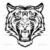 Tiger Head Drawing Easy Draw Face Getdrawings sketch template