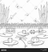 Coloring Ponds Pages Search Pond Again Bar Case Looking Don Print Use Find Top sketch template