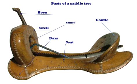 american cowboy chronicles western saddle diagrams