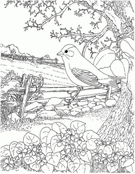 bird   tree bird coloring pages coloring books coloring pages