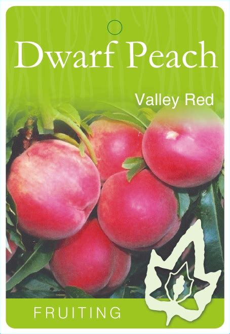 Peach Valley Red Blerick Tree Farm