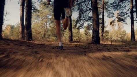 marathon runner jog  forestrunning stock footage video  royalty