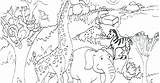 Savanna African Coloring Pages Getdrawings Colo Getcolorings Color sketch template