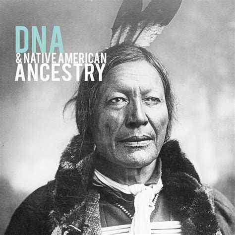 Dna And Native American Ancestry Genetic Direction