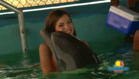 Even A Dolphin Has A Girlfriend  On Imgur