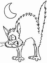Coloring Halloween Pages Cat Kids Scared Printable sketch template