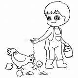 Chickens Polli Alimentazione Toddlers Infanzia sketch template