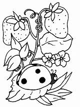 Jardim Encantado Ladybug sketch template