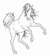 Horse Rearing Coloring Pages Arabian Drawing Friesian Lineart Angry Horses Drawings Head Sketch Easy Quarter Outlines Deviantart Printable Drawn Color sketch template