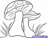 Mushroom Drawing Mushrooms Cartoon Coloring Draw Pages Step Drawings Fungi Simple Para Magic Dibujos Google Color Alice Wonderland Pencil Getdrawings sketch template