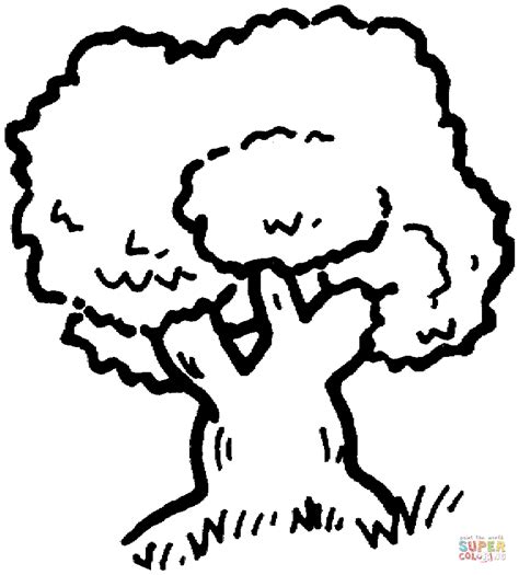 oak tree outline coloring page  printable coloring pages