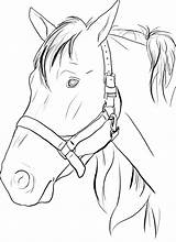Horse Coloring Pages Head Print Color Horses sketch template