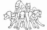 Wolf Coloring Pack Pages Wolves Drawing Furry Anime Color Printable Angry Six Howling Print Getdrawings Parentune Powered Getcolorings sketch template