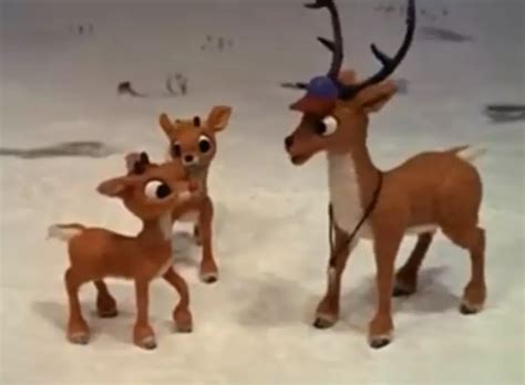 characters  rudolph  red nosed reindeer  jerks