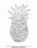 Pineapple Ananas Obst Zentangle Erwachsene Web Britto Romero Fruits Malvorlagen Ausgezeichnete Malvorlage Crafters Lovesmag sketch template