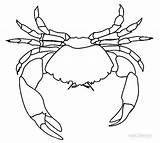Krabbe Spinnen Cool2bkids sketch template