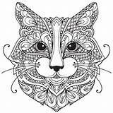Coloring Pages Kitten Adults Getcolorings Printable sketch template