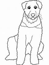 Coloring Dog Fur Pages Attractive Thick Party Kids sketch template