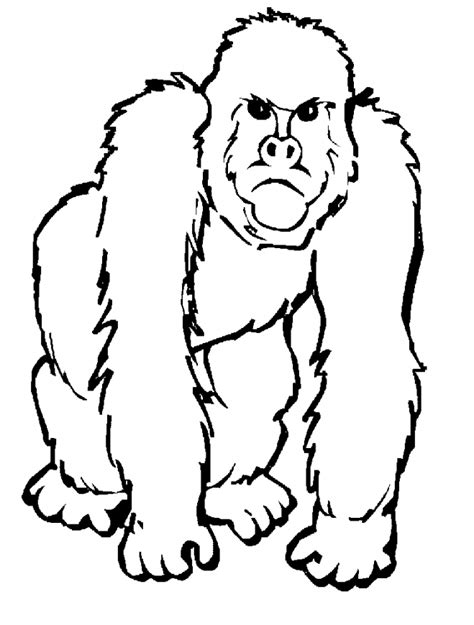 ape coloring pages  coloring pages  kids