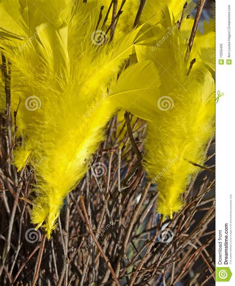 yellow feathers stock image image  tradition fluffy