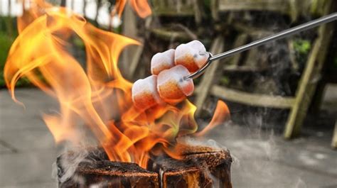 marshmallow roasting sticks  amazon