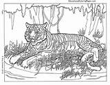 Coloring Hard Pages Animals Popular sketch template