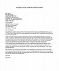 Image result for Cover letter sales position