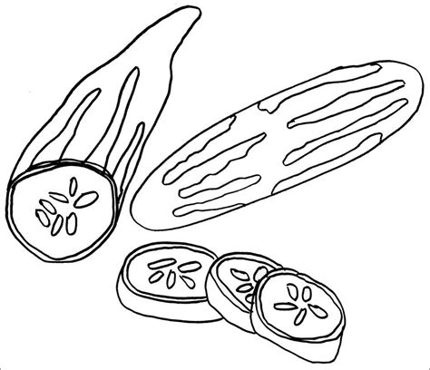 cucumbers coloring pages coloringbay