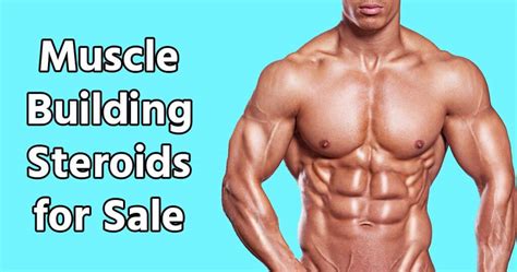 Top 5 Muscle Building Steroids For Sale Which Results Is