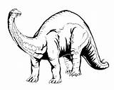 Brontosaurus Outline Clipart Clip Dinosaur sketch template