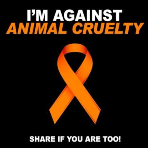 im  animal cruelty pictures   images  facebook