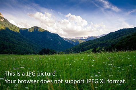 browser support   image format jpeg xl nspeaks