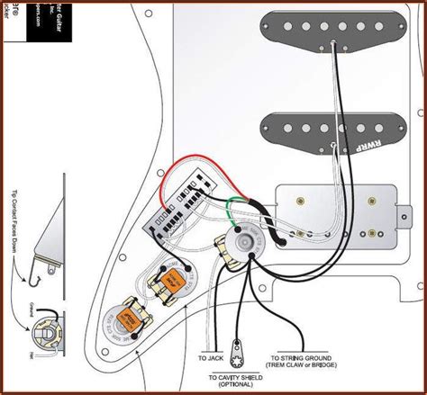 fender mexican strat hss wiring diagram diagrams resume template collections ozzxjxa