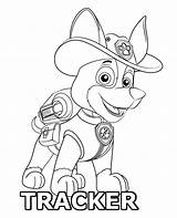 Coloring Patrol Tracker Paw Print Topcoloringpages sketch template