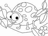 Coloring Ladybug Pages Bug Printable Colouring Ladybird Drawing Girl Lady Color Kids Lightning Print Toddlers Getcolorings Cute Marvelous Getdrawings Animal sketch template