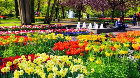 Conoce Los 5 Jardines Más Hermosos Del Mundo