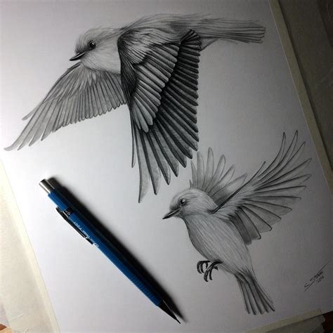 birds flying drawing study  lethalchris  deviantart