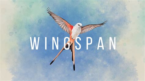 relaxing strategy card game wingspan   switch  spring